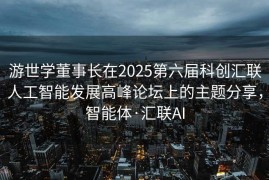 游世学董事长在2025第六届科创汇联人工智能发展高峰论坛上的主题分享，智能体·汇联AI