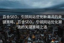 百合SEO，引领网站优化新潮流的关键策略，百合SEO，引领网站优化潮流的关键策略之道