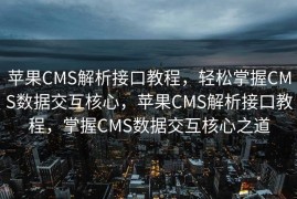 苹果CMS解析接口教程，轻松掌握CMS数据交互核心，苹果CMS解析接口教程，掌握CMS数据交互核心之道