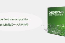 dede:field name=position怎么去除最后一个大于符号