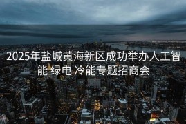 2025年盐城黄海新区成功举办人工智能 绿电 冷能专题招商会