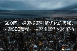 SEO网，探索搜索引擎优化的奥秘，探索SEO奥秘，搜索引擎优化网解析