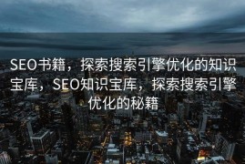 SEO书籍，探索搜索引擎优化的知识宝库，SEO知识宝库，探索搜索引擎优化的秘籍