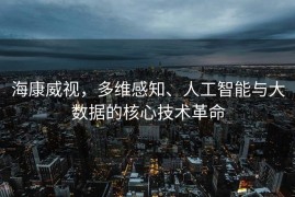 海康威视，多维感知、人工智能与大数据的核心技术革命