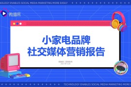 微播易：2021小家电品牌社交媒体营销报告-2025最新seo资料