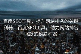 百度SEO工具，提升网站排名的关键利器，百度SEO工具，助力网站排名飞跃的秘籍利器