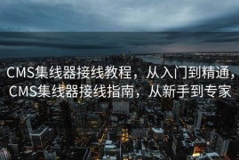 CMS集线器接线教程，从入门到精通，CMS集线器接线指南，从新手到专家