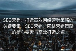 SEO营销，打造高效网络营销策略的关键要素，SEO营销，网络营销策略的核心要素与高效打造之道