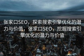 张家口SEO，探索搜索引擎优化的潜力与价值，张家口SEO，挖掘搜索引擎优化的潜力与价值