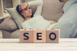 SEO优化：网站特征页面收录查询和记录-2025最新seo资料