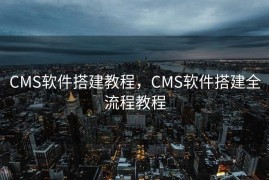 CMS软件搭建教程，CMS软件搭建全流程教程