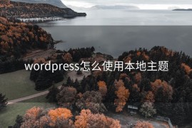 wordpress怎么使用本地主题
