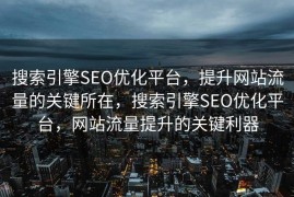 搜索引擎SEO优化平台，提升网站流量的关键所在，搜索引擎SEO优化平台，网站流量提升的关键利器