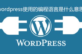 wordpress使用的编程语言是什么意思