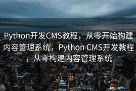 Python开发CMS教程，从零开始构建内容管理系统，Python CMS开发教程，从零构建内容管理系统