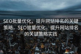SEO批量优化，提升网站排名的关键策略，SEO批量优化，提升网站排名的关键策略实践