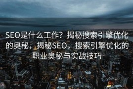 SEO是什么工作？揭秘搜索引擎优化的奥秘，揭秘SEO，搜索引擎优化的职业奥秘与实战技巧