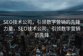 SEO技术公司，引领数字营销的先锋力量，SEO技术公司，引领数字营销的先锋