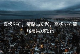 高级SEO，策略与实践，高级SEO策略与实践指南