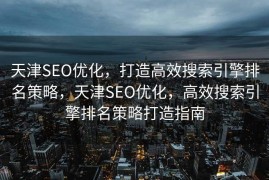 天津SEO优化，打造高效搜索引擎排名策略，天津SEO优化，高效搜索引擎排名策略打造指南