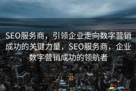 SEO服务商，引领企业走向数字营销成功的关键力量，SEO服务商，企业数字营销成功的领航者