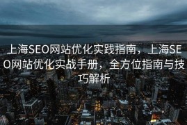 上海SEO网站优化实践指南，上海SEO网站优化实战手册，全方位指南与技巧解析