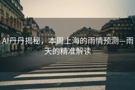 AI丹丹揭秘，本周上海的雨情预测—雨天的精准解读