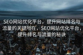 SEO网站优化平台，提升网站排名与流量的关键所在，SEO网站优化平台，提升排名与流量的秘诀