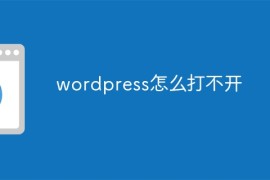 wordpress怎么打不开
