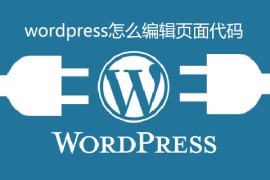wordpress怎么编辑页面代码