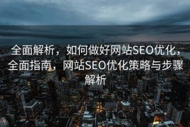 全面解析，如何做好网站SEO优化，全面指南，网站SEO优化策略与步骤解析
