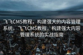 飞飞CMS教程，构建强大的内容管理系统，飞飞CMS教程，构建强大内容管理系统的实战指南