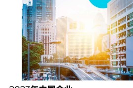 飞书点跃：2023年中国企业出海信心报告-2025最新seo资料