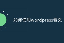 如何使用wordpress看文