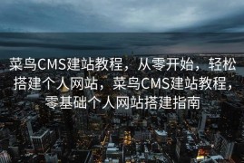 菜鸟CMS建站教程，从零开始，轻松搭建个人网站，菜鸟CMS建站教程，零基础个人网站搭建指南
