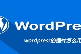 wordpress的插件怎么用
