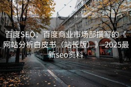 百度SEO：百度商业市场部撰写的《网站分析白皮书（站长版）》-2025最新seo资料