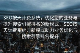 SEO按天计费系统，优化您的业务与提升搜索引擎排名的新模式，SEO按天计费系统，新模式助力业务优化与搜索引擎排名提升