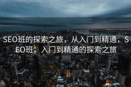 SEO班的探索之旅，从入门到精通，SEO班，入门到精通的探索之旅