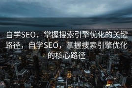 自学SEO，掌握搜索引擎优化的关键路径，自学SEO，掌握搜索引擎优化的核心路径