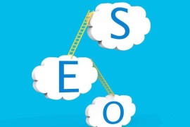搜索引擎优化选择域名的标准与要求-2025最新seo资料