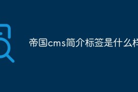 帝国cms简介标签是什么样的