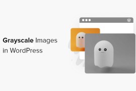 如何在 WordPress 中对图像进行灰度化