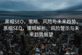 黑帽SEO，策略、风险与未来趋势，黑帽SEO，策略解析、风险警示与未来趋势展望