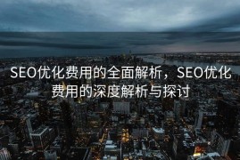SEO优化费用的全面解析，SEO优化费用的深度解析与探讨