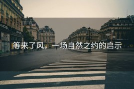 等来了风，一场自然之约的启示