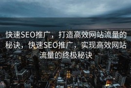 快速SEO推广，打造高效网站流量的秘诀，快速SEO推广，实现高效网站流量的终极秘诀