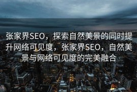 张家界SEO，探索自然美景的同时提升网络可见度，张家界SEO，自然美景与网络可见度的完美融合
