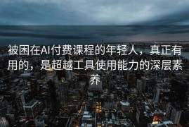 被困在AI付费课程的年轻人，真正有用的，是超越工具使用能力的深层素养