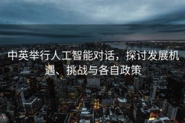 中英举行人工智能对话，探讨发展机遇、挑战与各自政策